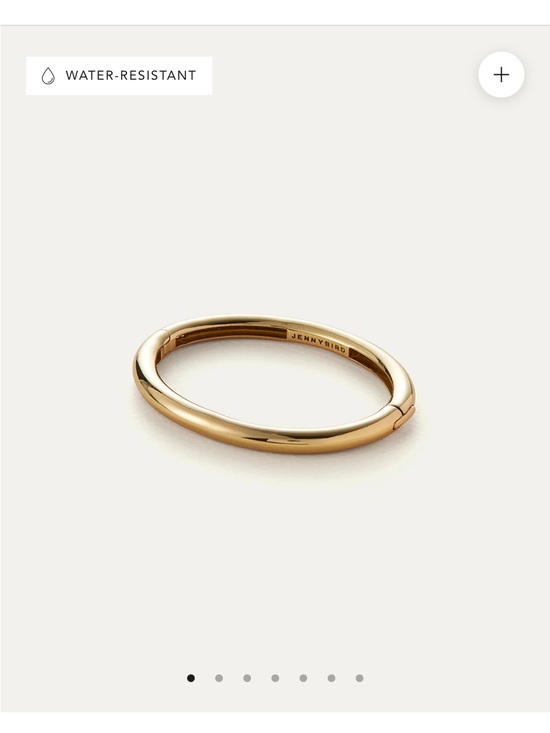 Jenny Bird Jewelry - Jenny Bird Gold Gia Bangle Bracelet